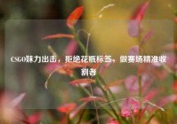 CSGO妹力出击，拒绝花瓶标签，做赛场精准收割者
