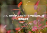 CSGO，被菜鸡队友支配的一千种崩溃姿势，谁懂这种绝望！