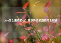 CSGO怎么刷经验快？高效升级实用技巧全解析