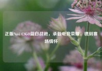 正版Navi CSGO蓝白战袍，承载电竞荣耀，镌刻赛场情怀
