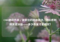 CSGO助攻伤害，被低估的隐形战功，团队胜利的关键拼图——多少伤害才算助攻？