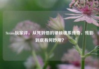 Steam玩家评，从死到悟的硬核魂系传奇，残影到底有何妙用？