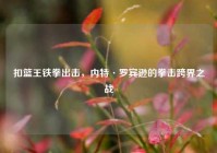 扣篮王铁拳出击，内特·罗宾逊的拳击跨界之战