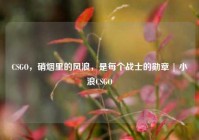 CSGO，硝烟里的风浪，是每个战士的勋章 | 小浪CSGO