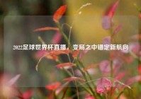 2022足球世界杯直播，变局之中锚定新航向