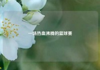 一场热血沸腾的篮球赛