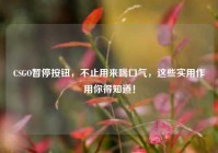 CSGO暂停按钮，不止用来喘口气，这些实用作用你得知道！