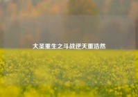 大圣重生之斗战逆天董浩然