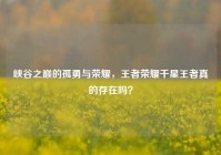 峡谷之巅的孤勇与荣耀，王者荣耀千星王者真的存在吗？