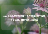 PUBG人物头型在哪里买？官方渠道+第三方平台全攻略，打造专属战场造型