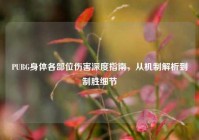 PUBG身体各部位伤害深度指南，从机制解析到制胜细节