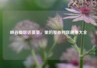 峡谷楹联话英豪，里的那些对联趣事大全