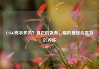 CSGO高手多吗？真正的强者，靠的是综合实力的淬炼