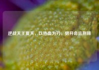 逆战天王夏天，以热血为刃，劈开命运荆棘