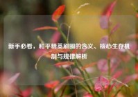 新手必看，和平精英刷圈的含义、核心生存机制与规律解析