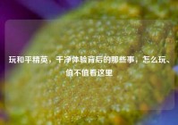 玩和平精英，干净体验背后的那些事，怎么玩、值不值看这里