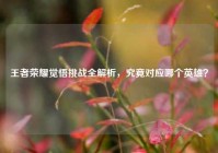王者荣耀觉悟挑战全解析，究竟对应哪个英雄？