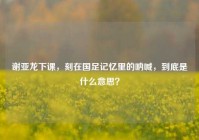 谢亚龙下课，刻在国足记忆里的呐喊，到底是什么意思？