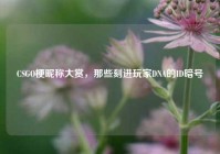 CSGO梗昵称大赏，那些刻进玩家DNA的ID暗号