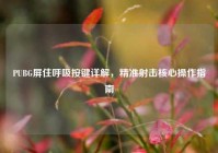 PUBG屏住呼吸按键详解，精准射击核心操作指南