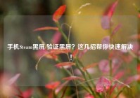 手机Steam黑屏/验证黑屏？这几招帮你快速解决！