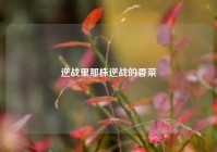 逆战里那株逆战的香菜