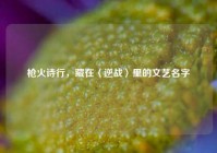 枪火诗行，藏在〈逆战〉里的文艺名字