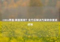 COD16界面/画面黑屏？全方位解决方案助你重返战场