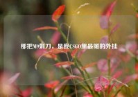那把M9刺刀，是我CSGO里最暖的外挂