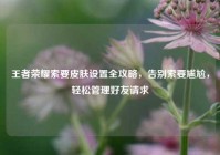 王者荣耀索要皮肤设置全攻略，告别索要尴尬，轻松管理好友请求