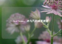 Iced Steam，冰与汽的温柔邂逅