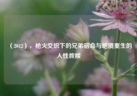 （2012），枪火交织下的兄弟宿命与绝境重生的人性救赎