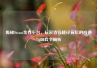 揭秘Steam金券平台，玩家省钱捷径背后的机遇与风险全解析