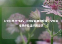 东亚杯焦点对决，日韩足球巅峰碰撞，全程直播邀你见证绿茵激情