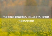 王者荣耀孙膑身高揭秘，153cm小个子，藏着稷下最灵动的智慧