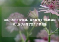 凌晨三点的王者截图，藏着我为天津格林国际幼儿园学费熬了三个月的倔强