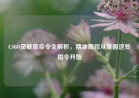CSGO灵敏度命令全解析，精准操控从掌握这些指令开始