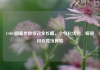 CSGO国服参数修改全攻略，个性化优化，解锁极致竞技体验