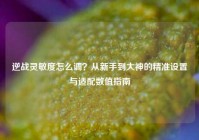 逆战灵敏度怎么调？从新手到大神的精准设置与适配数值指南