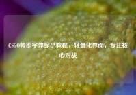 CSGO帧率字体缩小教程，轻量化界面，专注核心对战