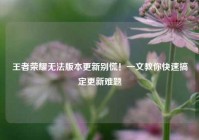 王者荣耀无法版本更新别慌！一文教你快速搞定更新难题