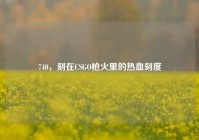 740，刻在CSGO枪火里的热血刻度