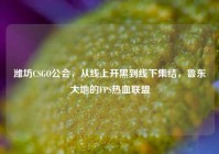 潍坊CSGO公会，从线上开黑到线下集结，鲁东大地的FPS热血联盟