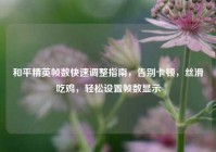 和平精英帧数快速调整指南，告别卡顿，丝滑吃鸡，轻松设置帧数显示