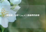 硝烟里，劲敌（jìng dí）是最燃的勋章