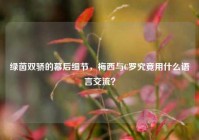 绿茵双骄的幕后细节，梅西与C罗究竟用什么语言交流？