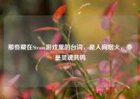 那些藏在Steam游戏里的台词，是人间烟火，亦是灵魂共鸣