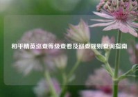 和平精英巡查等级查看及巡查规则查询指南