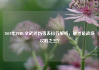 2019年PUBG全武器伤害表排行解析，谁才是战场收割之王？