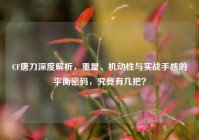 CF唐刀深度解析，重量、机动性与实战手感的平衡密码，究竟有几把？